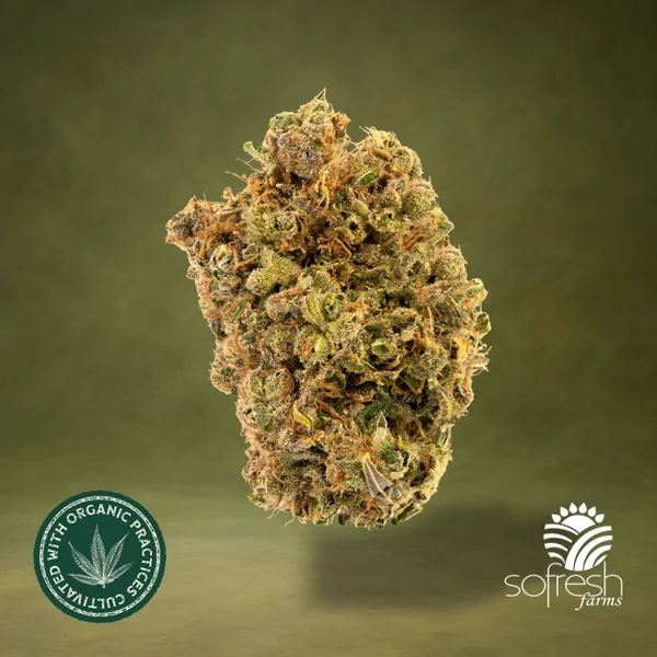 $100 1/2 ounces