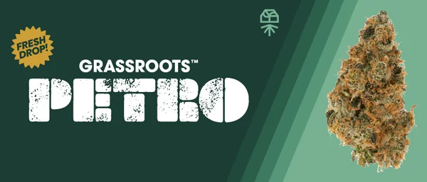 Launch: Grassroots Petro