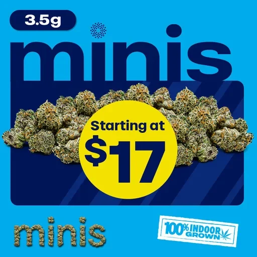 minis Starting at $17