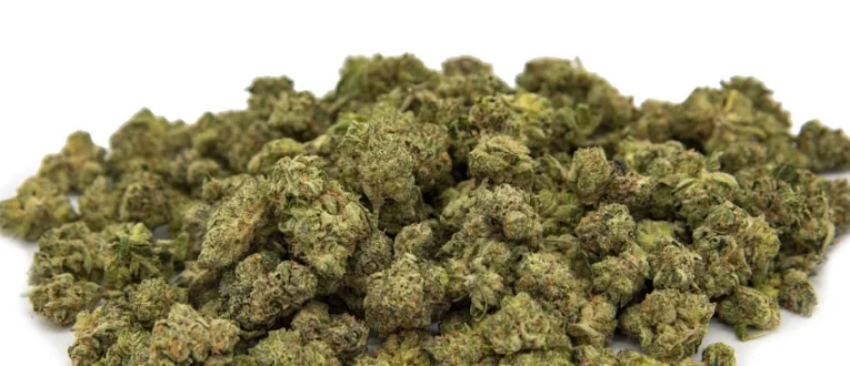 $35 kynd Smalls Flower