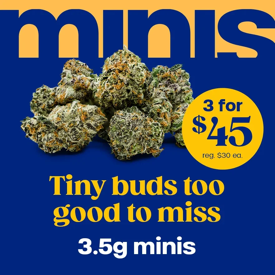 3 for $45 minis