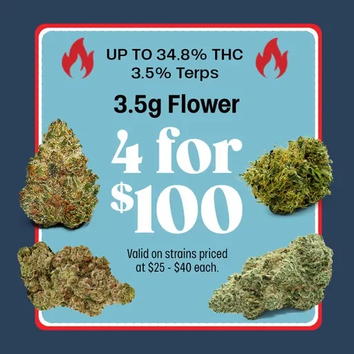 $100 Half Ounce