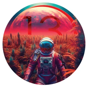 35% Off Planet 13 Tier 1 Flower