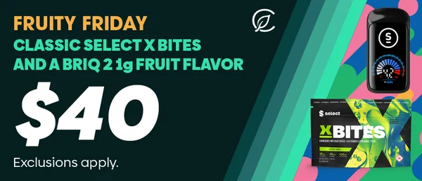 $40 Bundle X-Bites and Briq 2 1g