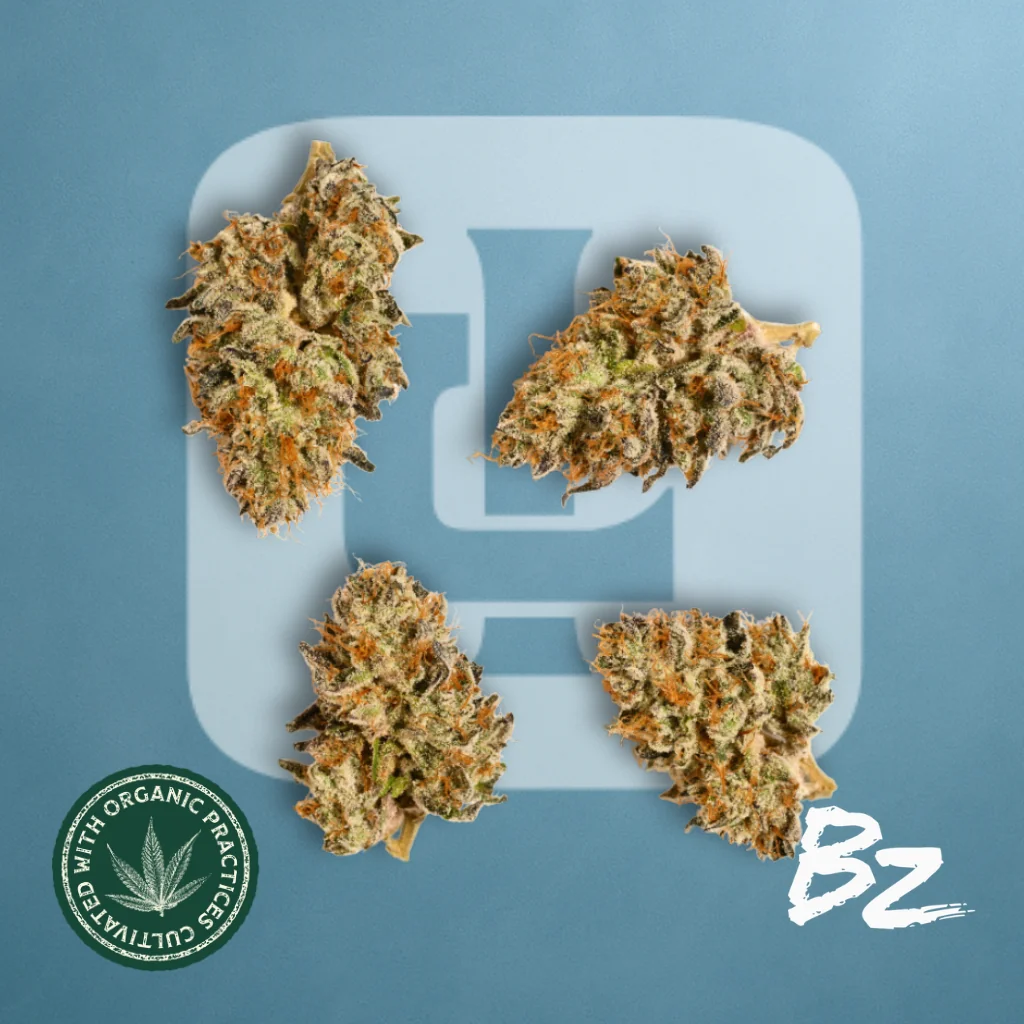 $65 Super Value 1/2 ounces!