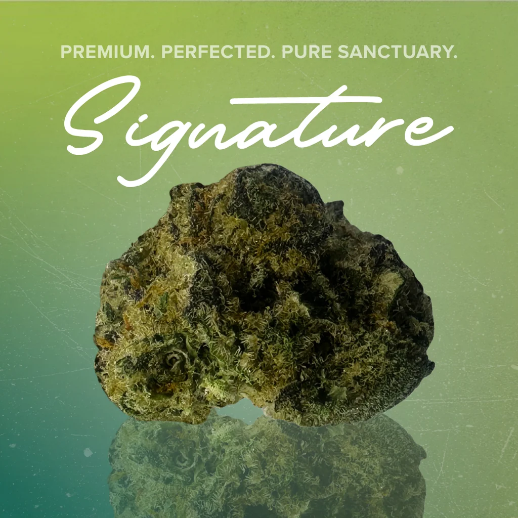 Sanctuary Signature Flower 2 for $50