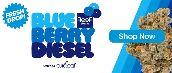 Launch: Reef Blueberry Diesel