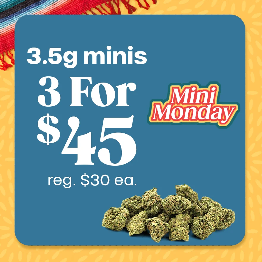 Mini Monday is Here!