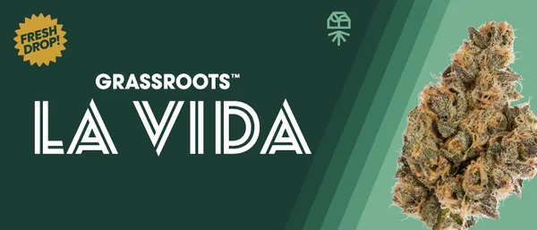 Launch: Grassroots La Vida