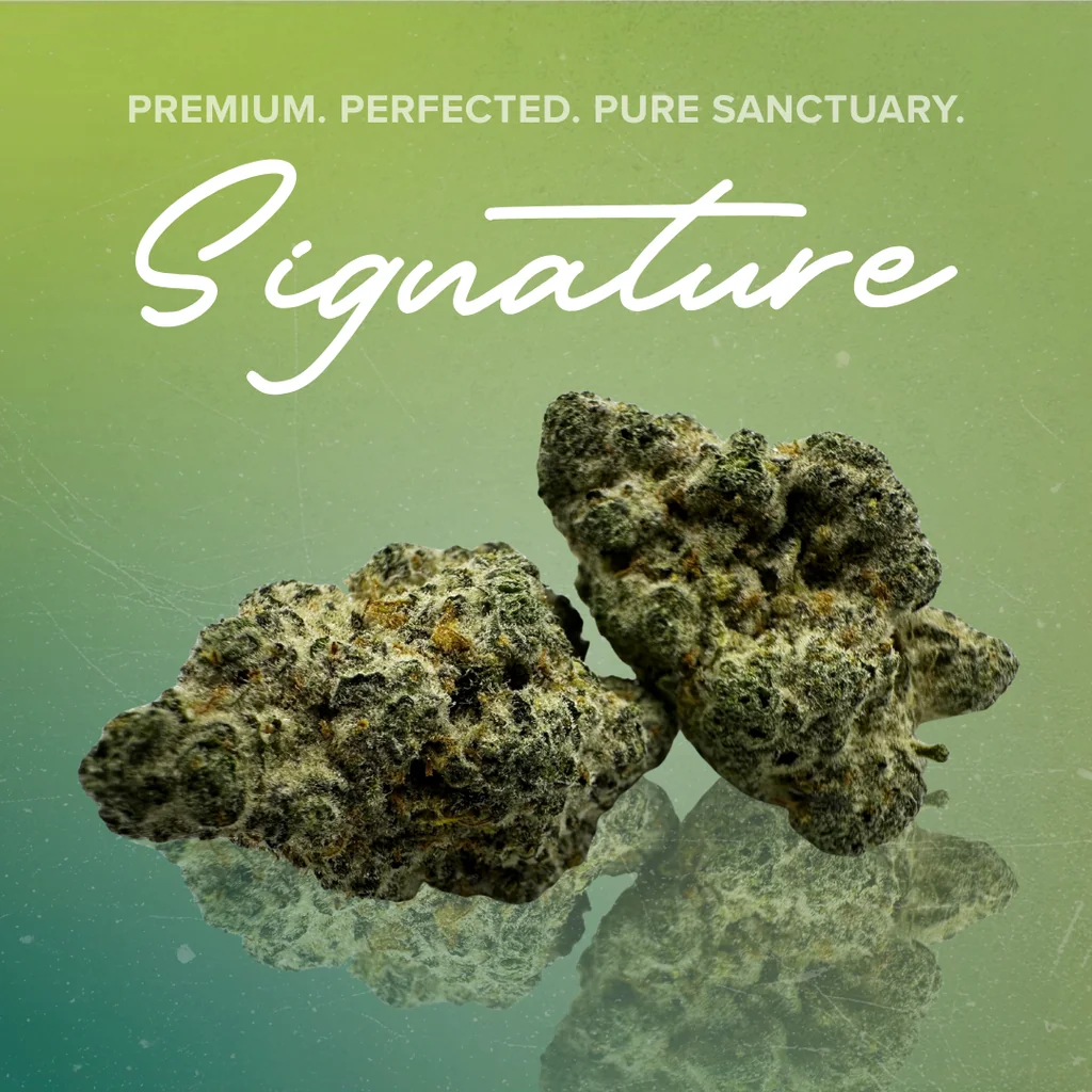 Sanctuary Signature Flower 2 for $50