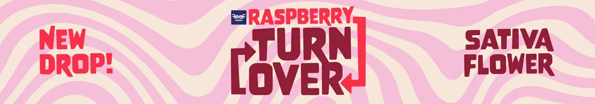 Launch: Reef Raspberry Turnover
