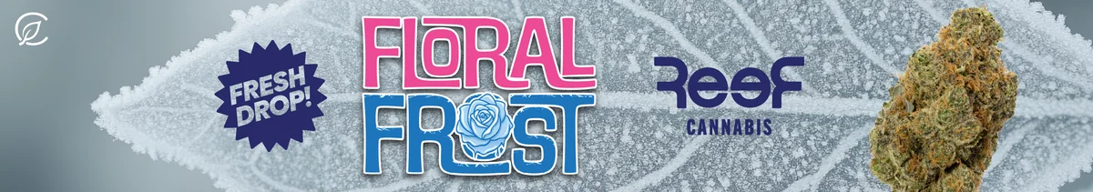 Launch: Reef Floral Frost
