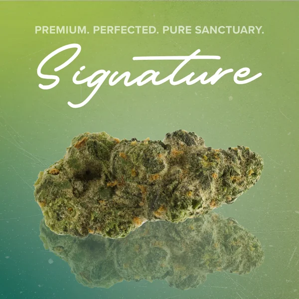 Signature Flower $26 Each