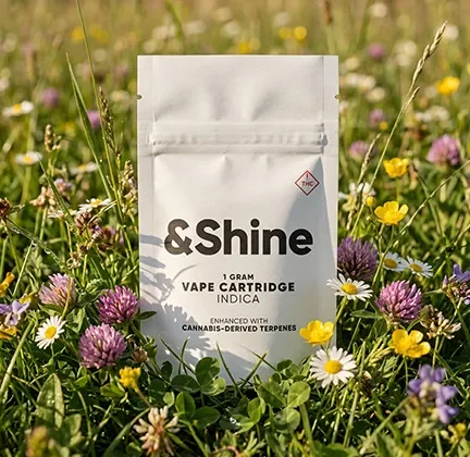 DealSauce Savings$20 | 2 for $30&Shine + RYTHM sauce carts