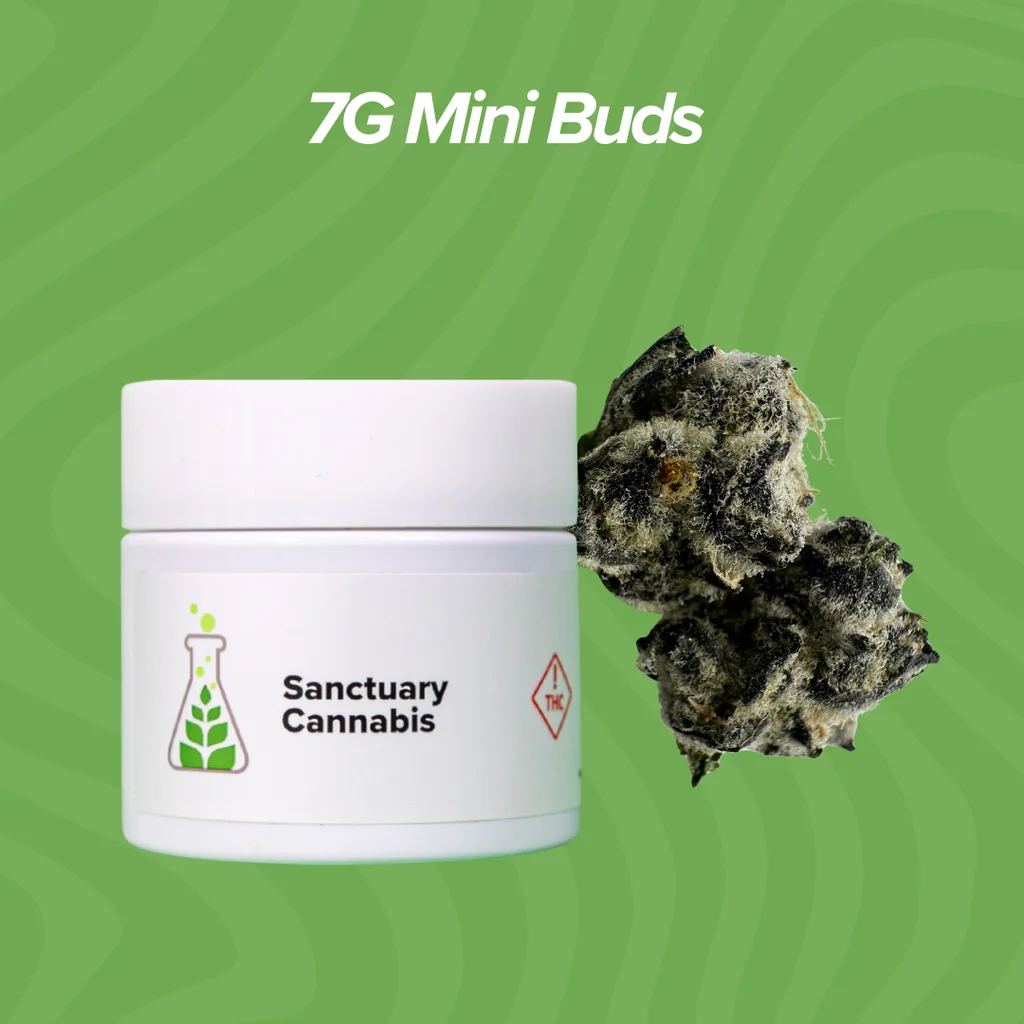 7g Mini Buds $30 Each