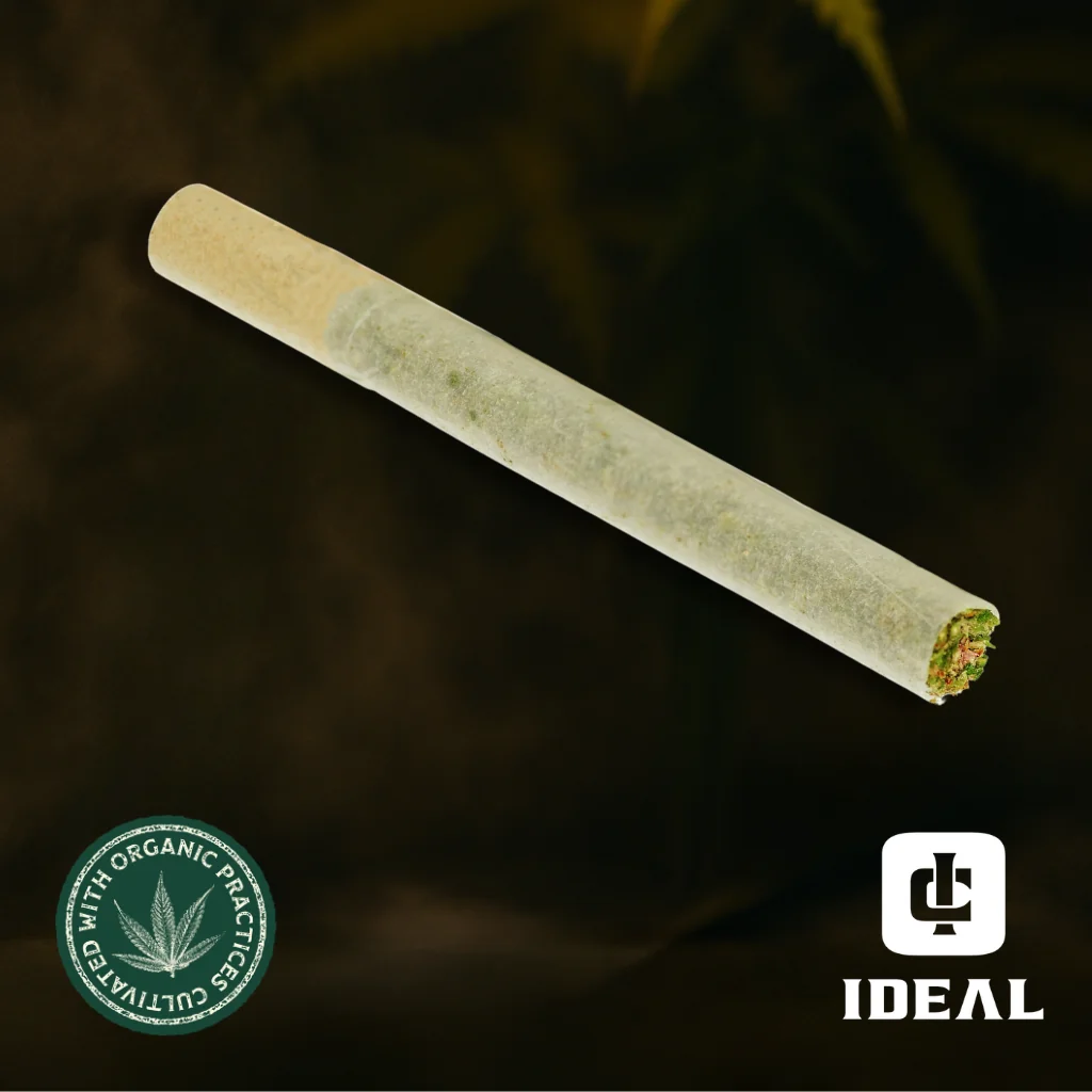 5 Pre Rolls for $20