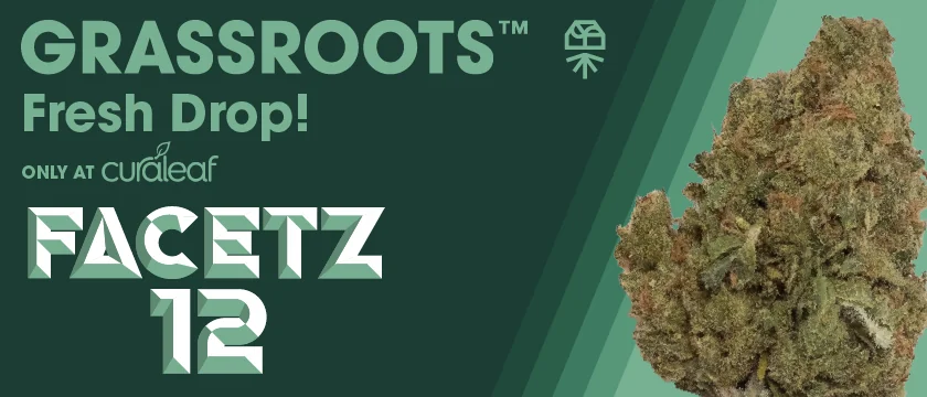 Launch: Grassroots Facetz 12