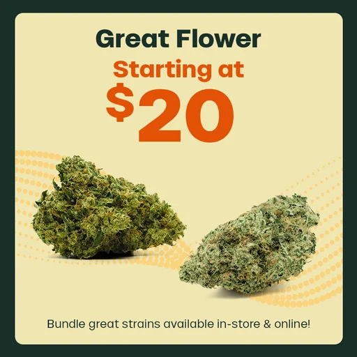 Great Flower Starting at $20