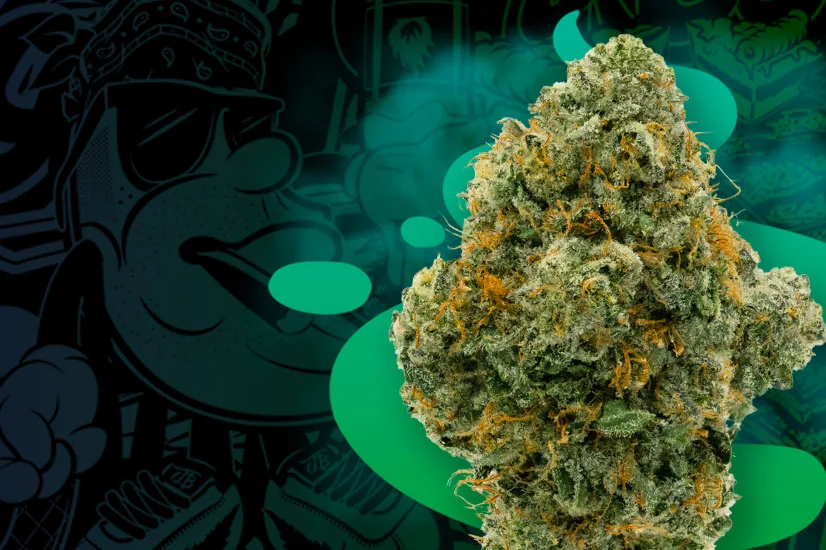 $25 Premium 8ths