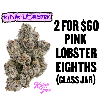 2 for $60 Pink Lobster Eighths (Glass Jar) Bundle