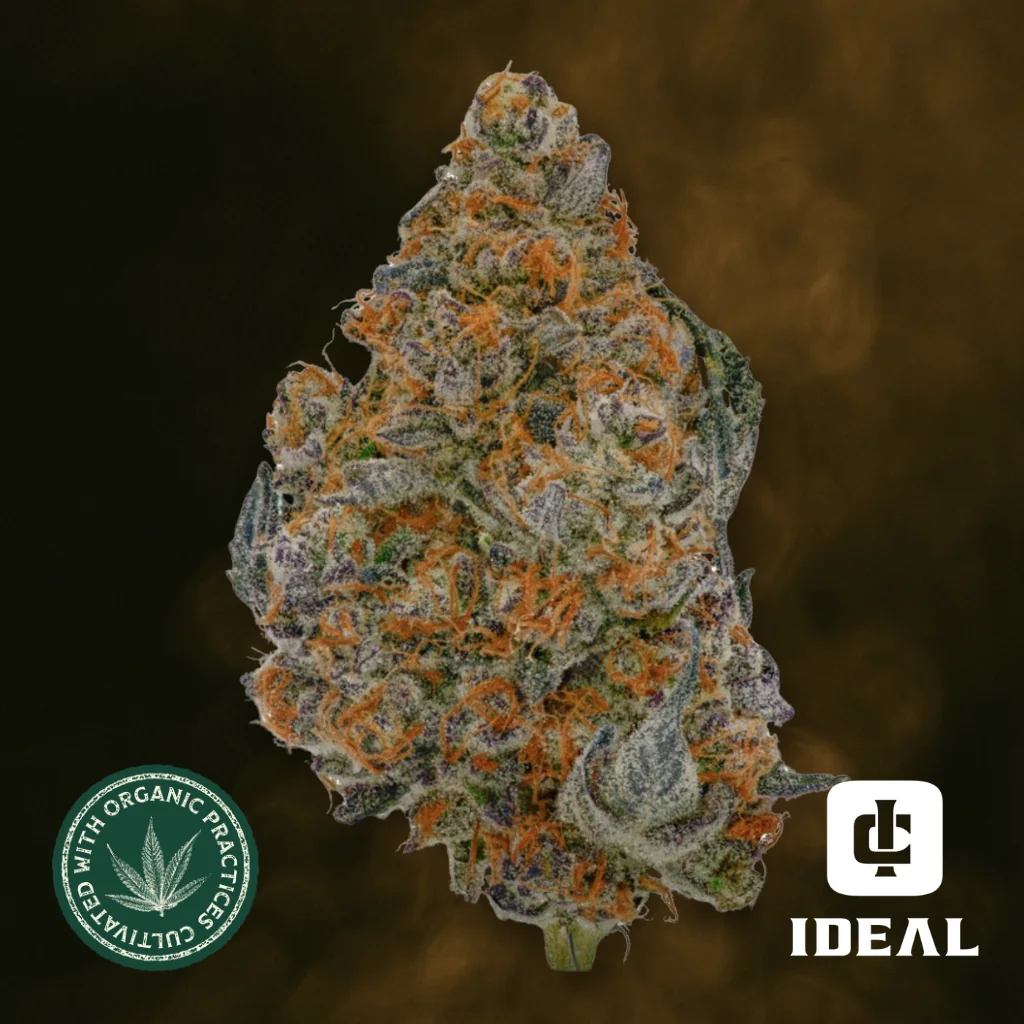 $75 Value 1/2 ounces!