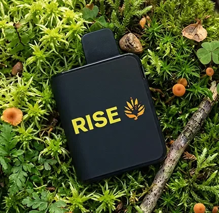 Buy More Save MoreBig Vape Deal2 for $75RISE 2g disposables