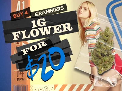 Grammers: 4 For $20