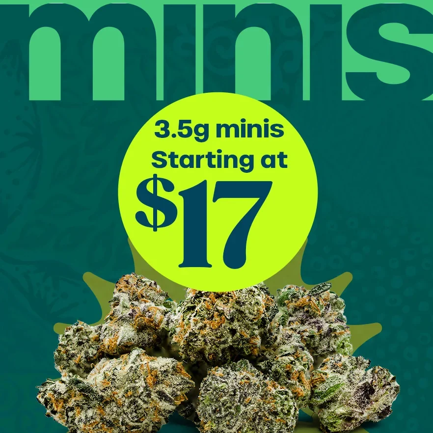 minis Starting at $17
