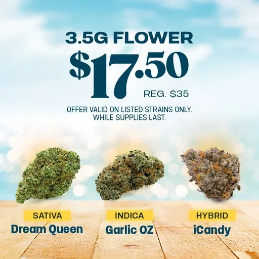 Win the Weekend with $17.50 Flower