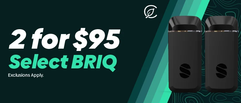2 for $95 BRIQS