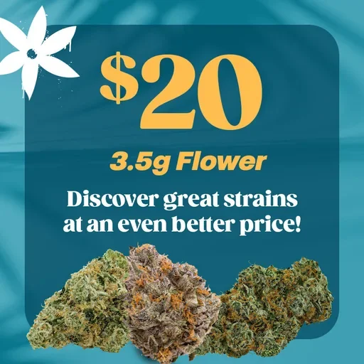 Great Strains at $20