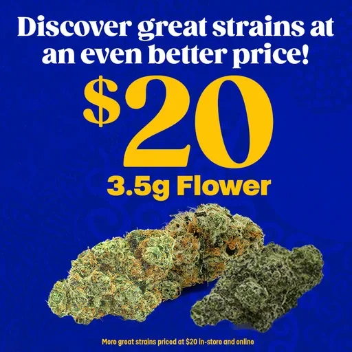 Great Strains at $20