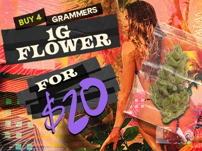Grammers: 4 For $20