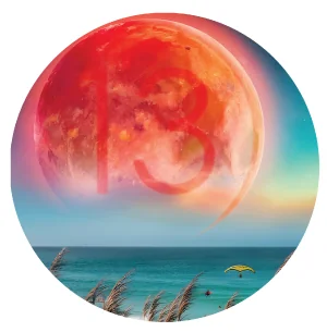 20% OFF Flower 3.5g: Planet 13 Tier 1, Medizin, & Indoor!