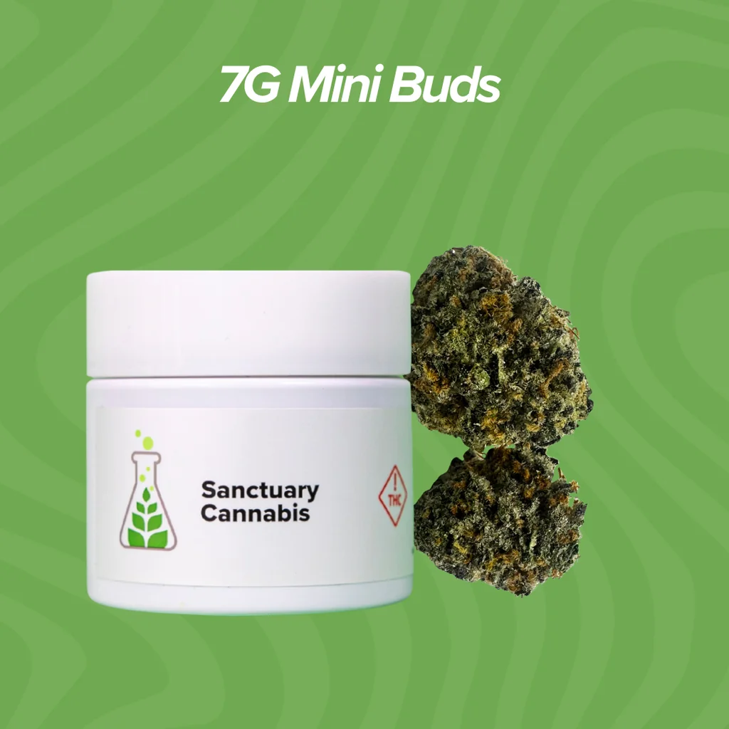7g Mini Buds — 2 for $55