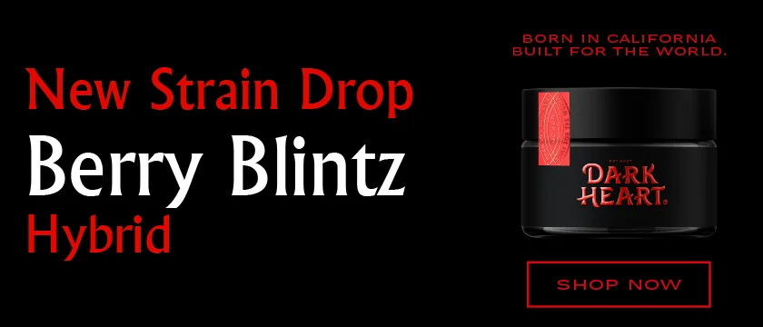 Launch: Dark Heart Berry Blintz