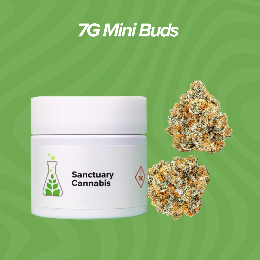 7g Mini Buds $28 Each