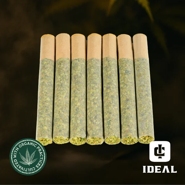 2 for $66 seven pack prerolls