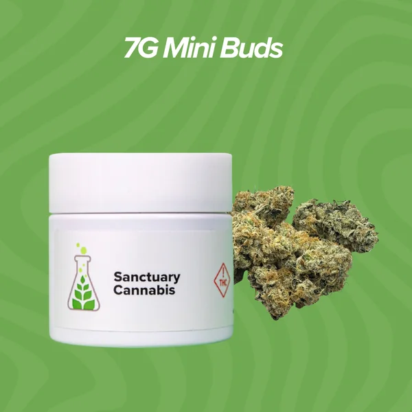 7g Mini Buds $36 Each